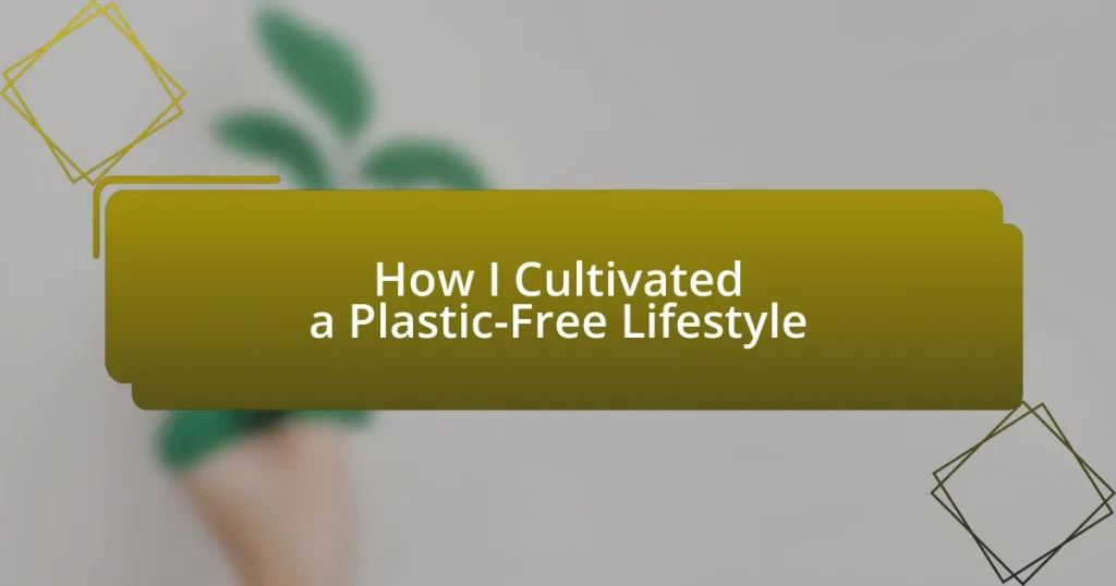 How I Cultivated a Plastic-Free Lifestyle