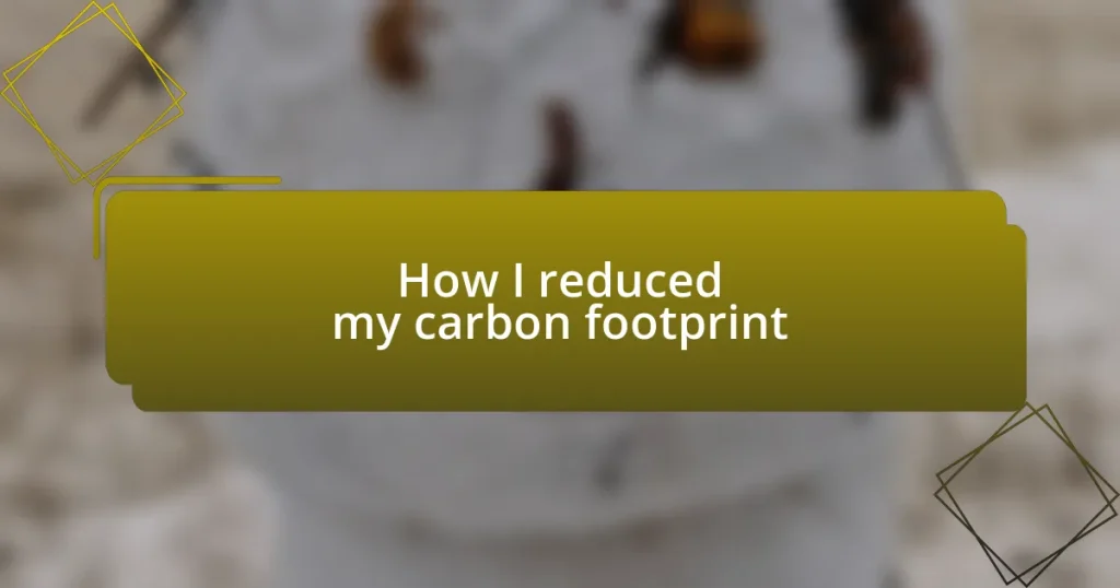 How I reduced my carbon footprint