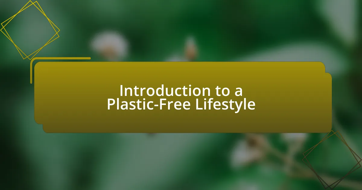 Introduction to a Plastic-Free Lifestyle