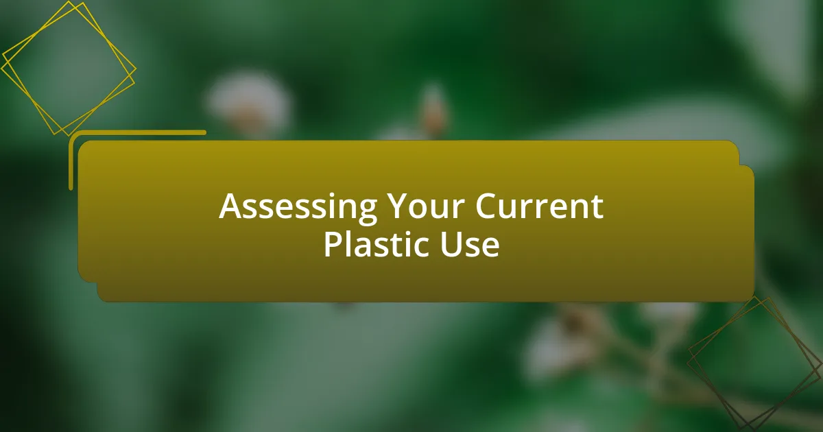 Assessing Your Current Plastic Use