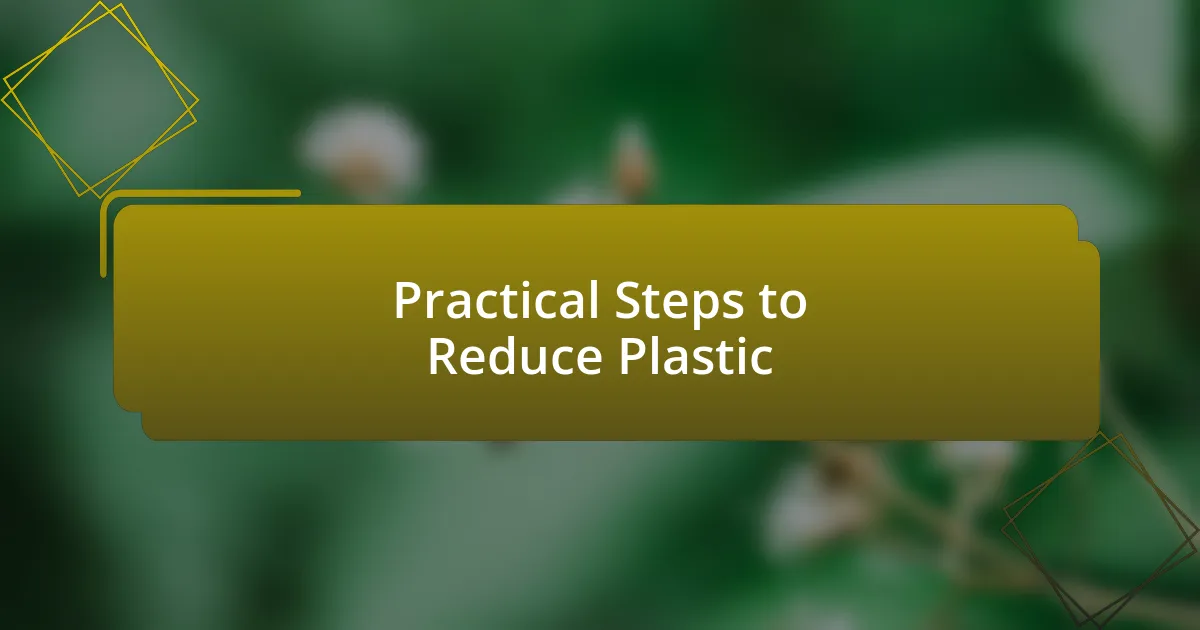 Practical Steps to Reduce Plastic