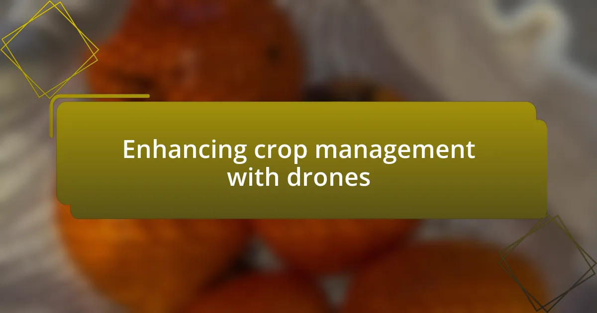 Enhancing crop management with drones