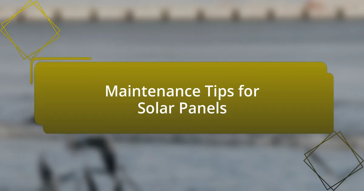 Maintenance Tips for Solar Panels