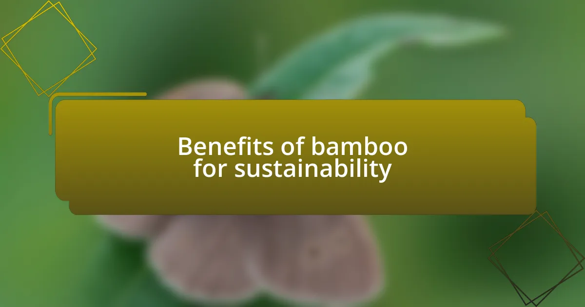 Benefits of bamboo for sustainability