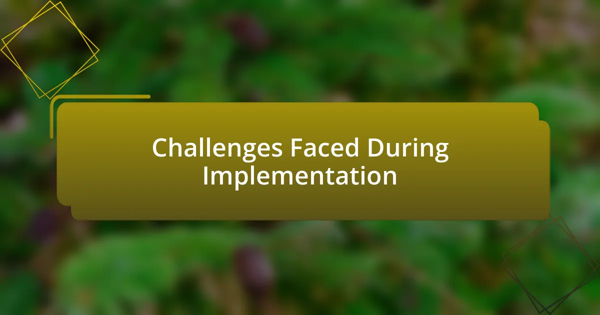 Challenges Faced During Implementation