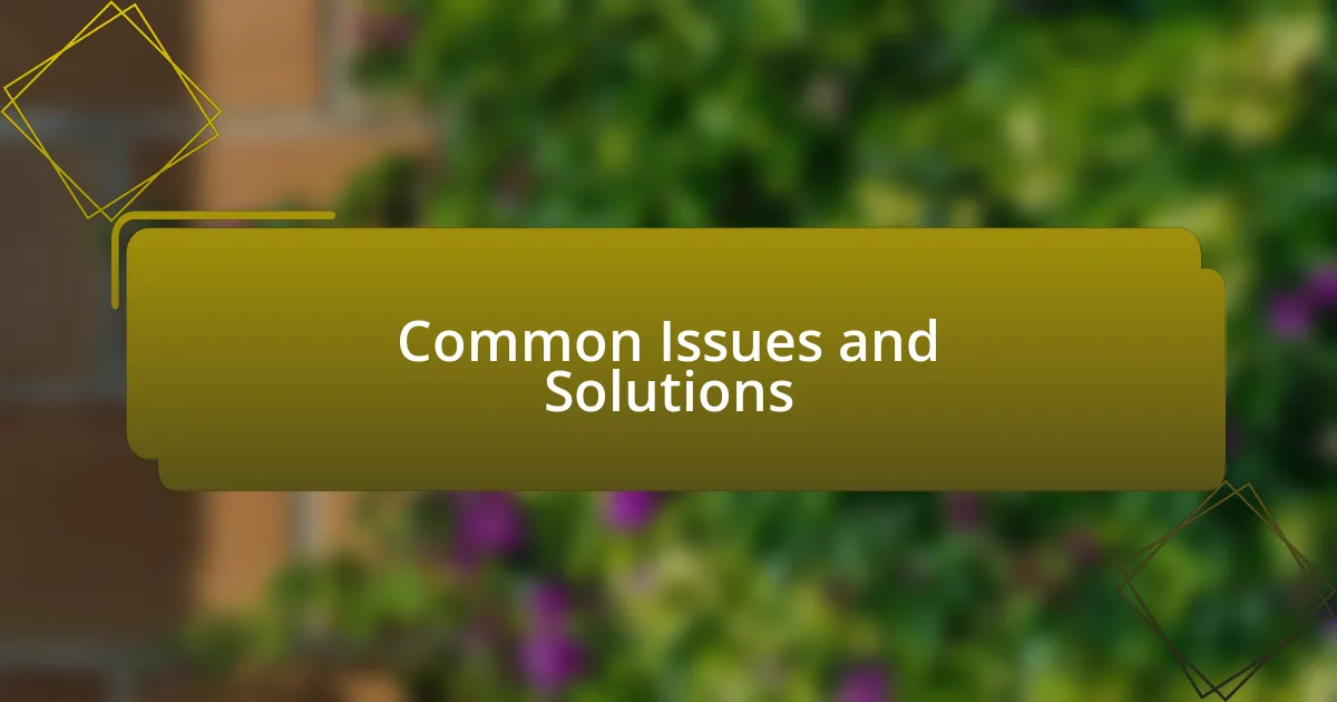 Common Issues and Solutions