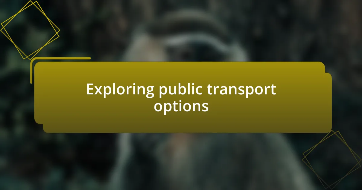 Exploring public transport options