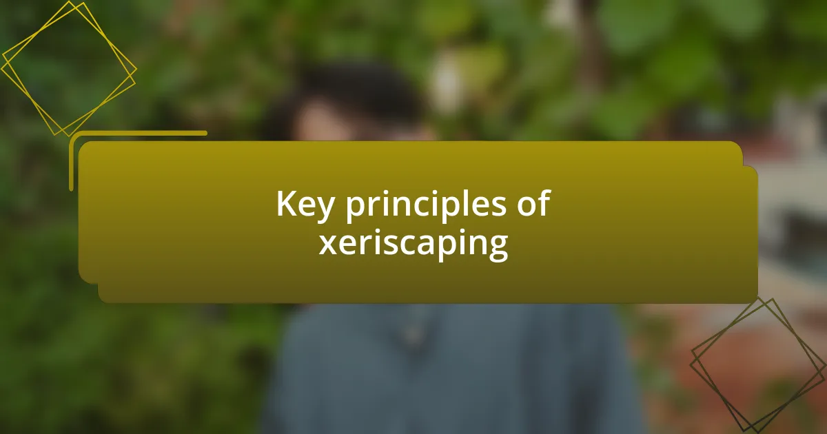 Key principles of xeriscaping