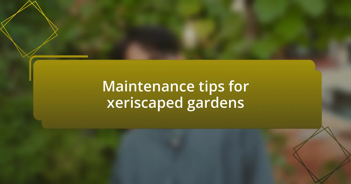 Maintenance tips for xeriscaped gardens