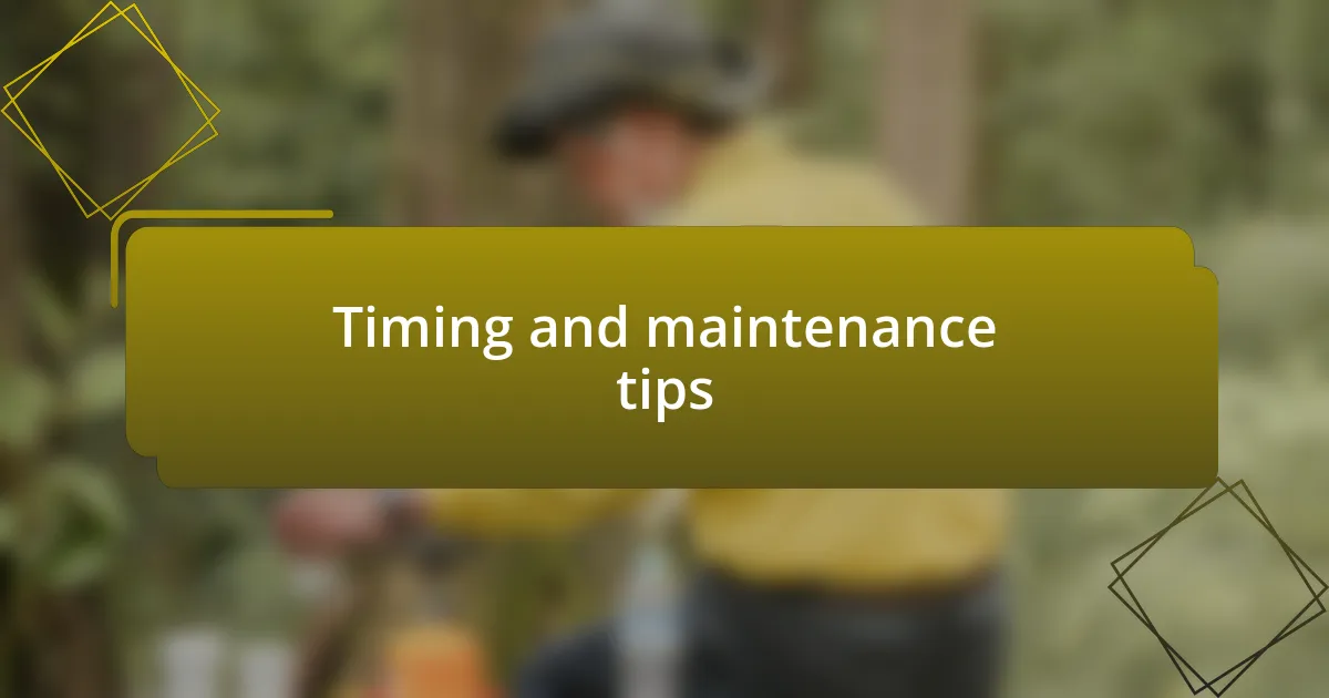 Timing and maintenance tips